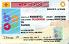 Small Size America New Mexico - View 1 - High Quality Scannable ID