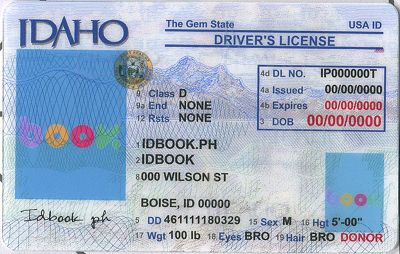 Medium Size America Idaho - High Quality Scannable ID