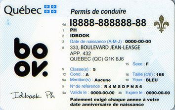 Medium Size Canada Quebec - High Quality Scannable ID